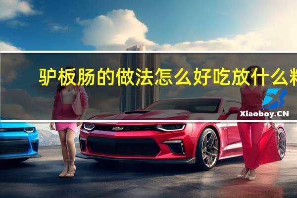 驴板肠的做法怎么好吃放什么料