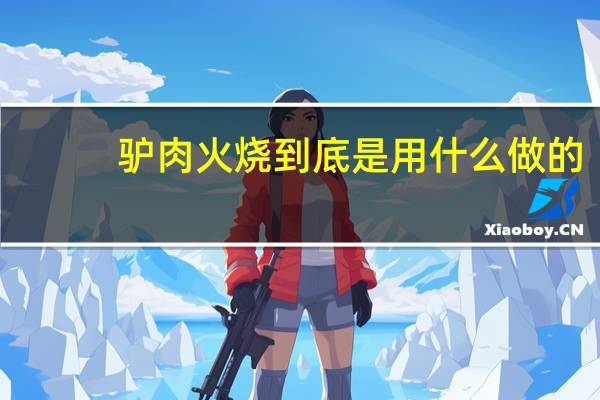 驴肉火烧到底是用什么做的