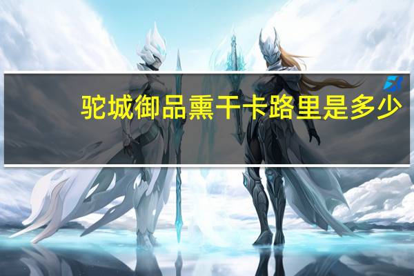 驼城御品 熏干卡路里是多少