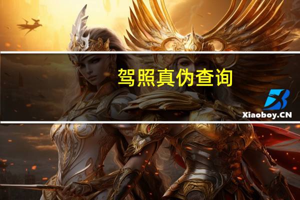 驾照真伪查询（驾照真伪查询）