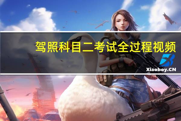驾照科目二考试全过程视频（驾照科目二考试全过程）