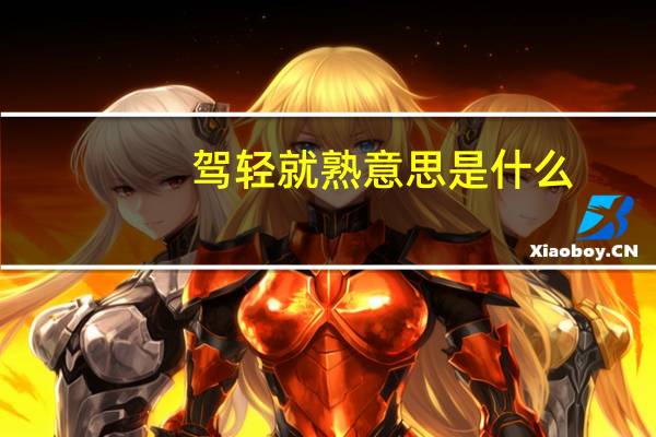 驾轻就熟意思是什么