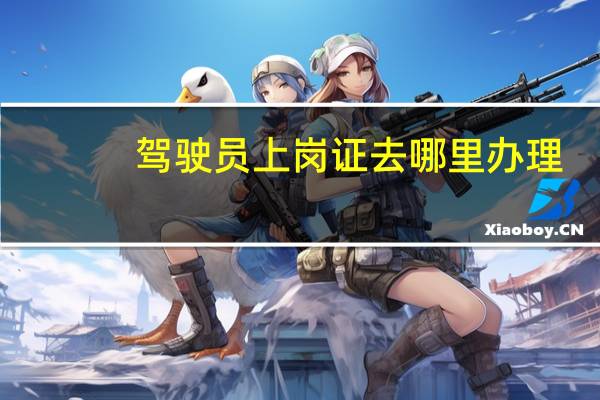 驾驶员上岗证去哪里办理