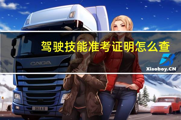 驾驶技能准考证明怎么查