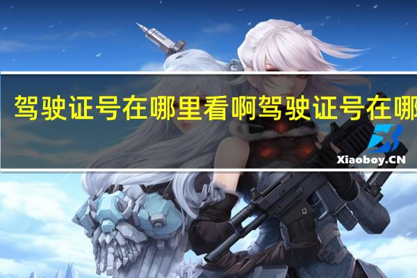 驾驶证号在哪里看啊 驾驶证号在哪里看