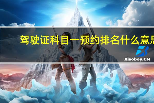 驾驶证科目一预约排名什么意思