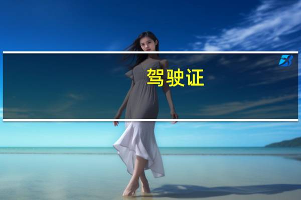 驾驶证（关于驾驶证的介绍）