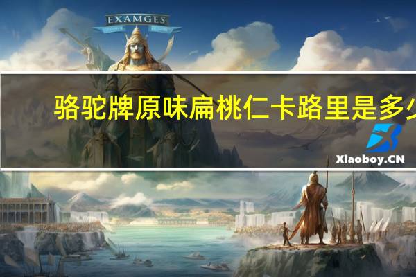 骆驼 牌原味扁桃仁卡路里是多少