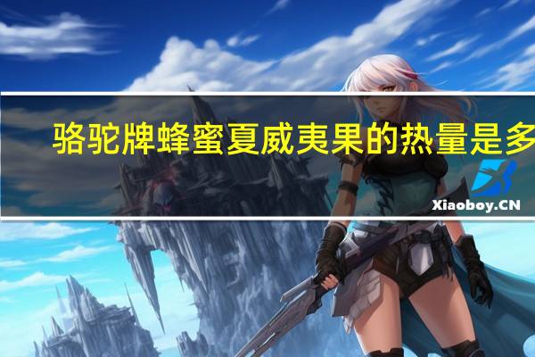 骆驼 牌蜂蜜夏威夷果的热量是多少