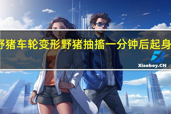 骑友夜骑撞上野猪车轮变形野猪抽搐一分钟后起身跑了 到底什么情况呢