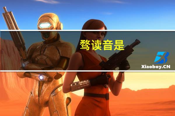 骛读音是（骛）