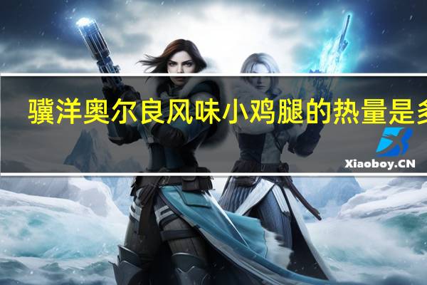 骥洋 奥尔良风味小鸡腿的热量是多少