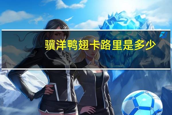 骥洋 鸭翅卡路里是多少