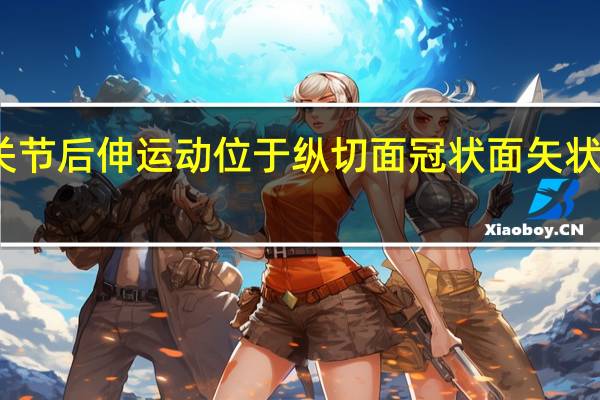 髋关节后伸运动位于纵切面冠状面矢状面水平面（冠状面矢状面水平面）