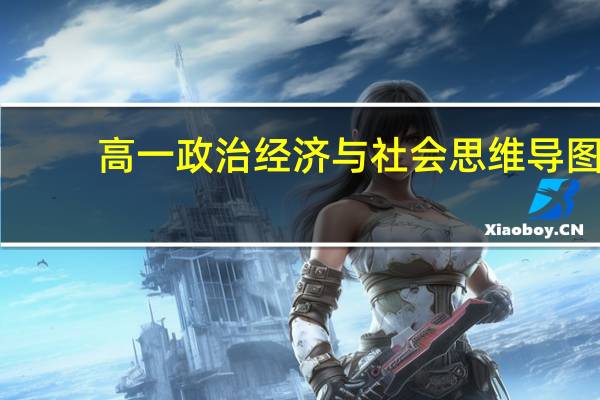 高一政治经济与社会思维导图（高一政治经济小论文）