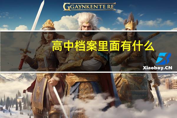 高中档案里面有什么