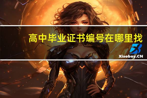高中毕业证书编号在哪里找