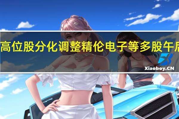 高位股分化调整 精伦电子等多股午后跌停