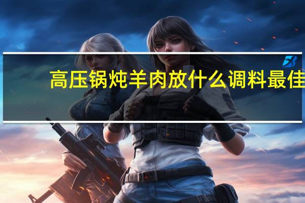 高压锅炖羊肉放什么调料最佳（炖羊肉放什么调料最佳）