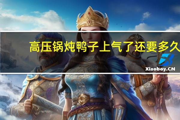 高压锅炖鸭子上气了还要多久