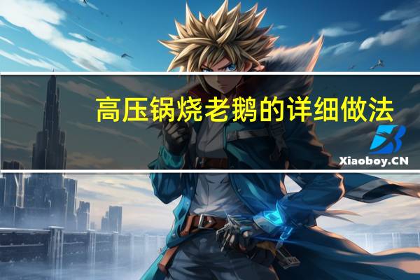 高压锅烧老鹅的详细做法