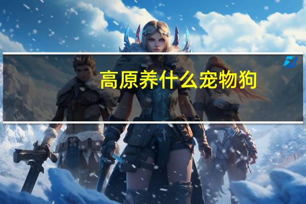 高原养什么宠物狗