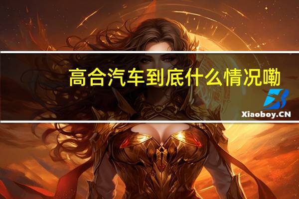 高合汽车 到底什么情况嘞