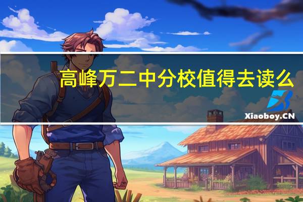 高峰万二中分校值得去读么