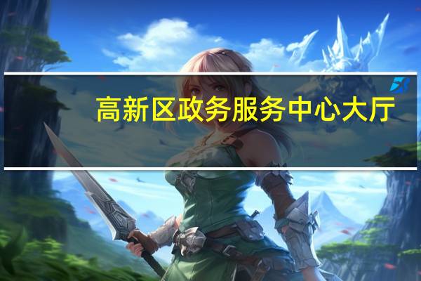 高新区政务服务中心大厅（袁魁-四川省郫县政务服务中心副主任简介）