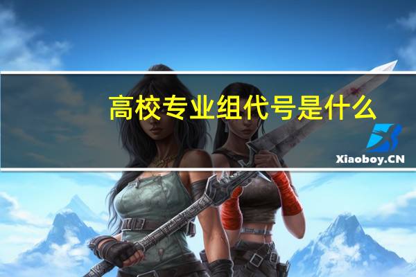 高校专业组代号是什么