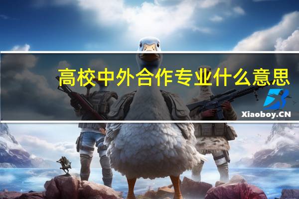 高校中外合作专业什么意思