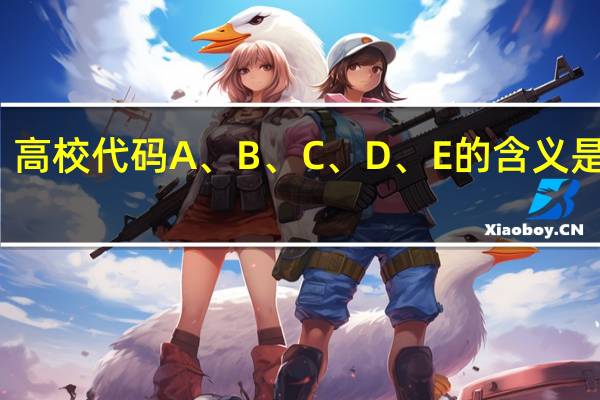 高校代码A、 B、 C、 D、 E的含义是什么