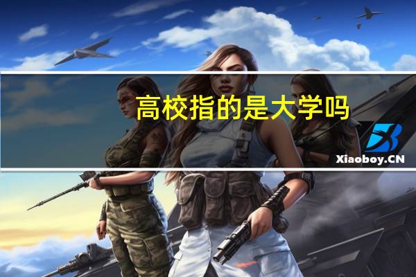 高校指的是大学吗