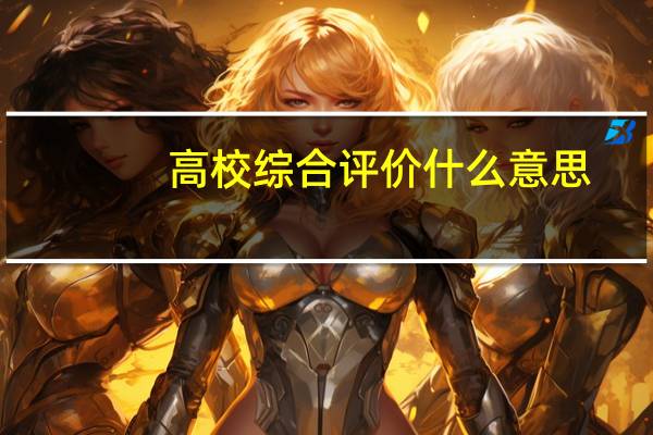 高校综合评价什么意思