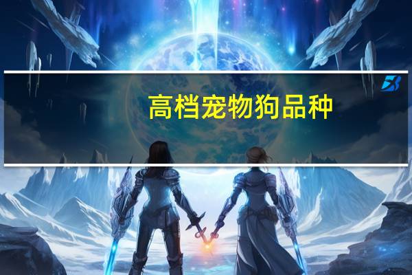 高档宠物狗品种
