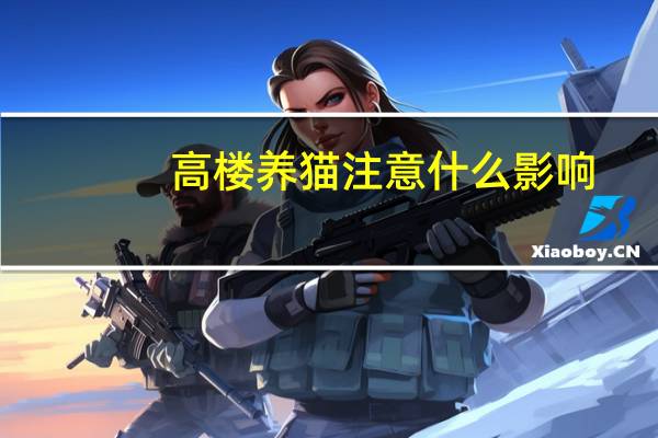 高楼养猫注意什么影响