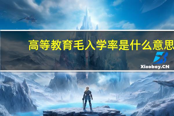 高等教育毛入学率是什么意思（毛入学率是什么意思）