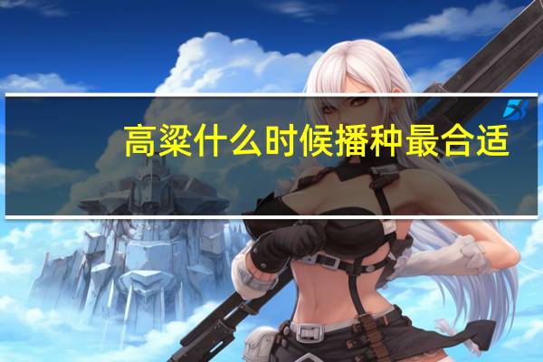 高粱什么时候播种最合适