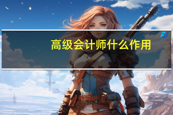 高级会计师什么作用