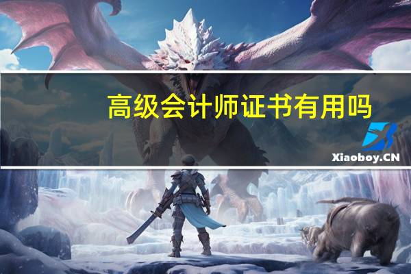 高级会计师证书有用吗