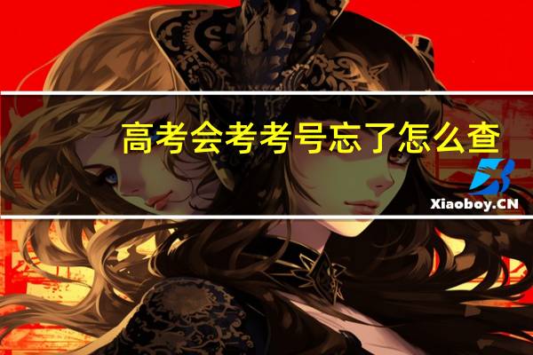 高考会考考号忘了怎么查