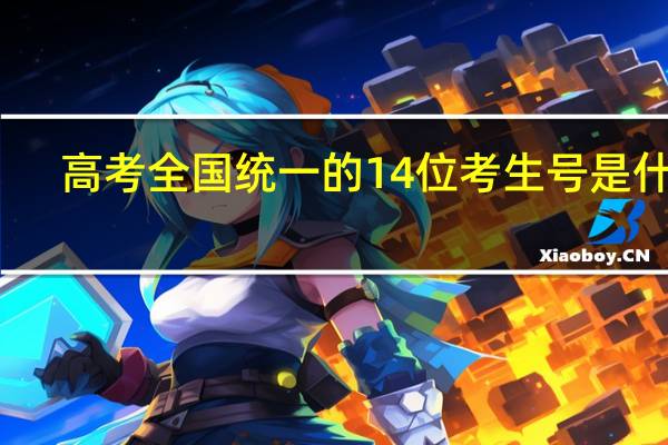 高考全国统一的14位考生号是什么