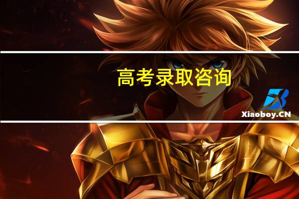 高考录取咨询