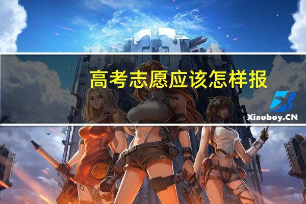 高考志愿应该怎样报，一本指的是什么，二本指的是什么