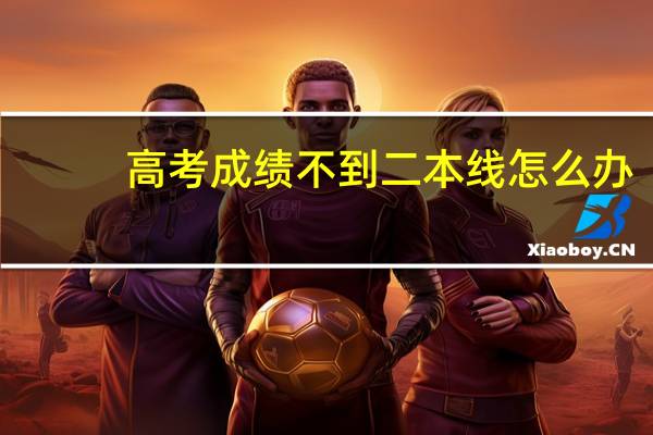 高考成绩不到二本线怎么办