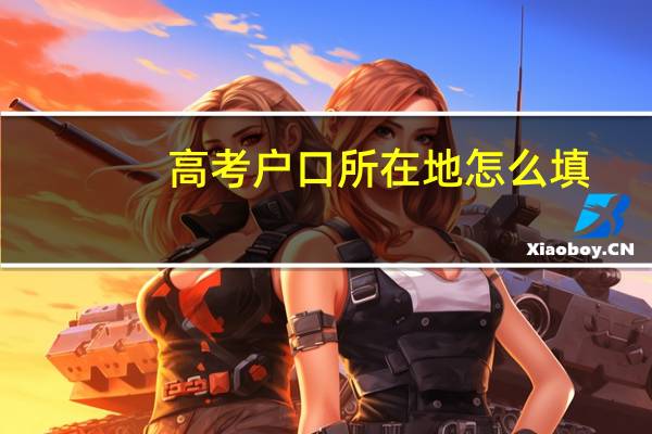 高考户口所在地怎么填