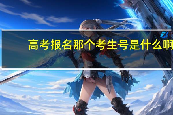 高考报名那个考生号是什么啊