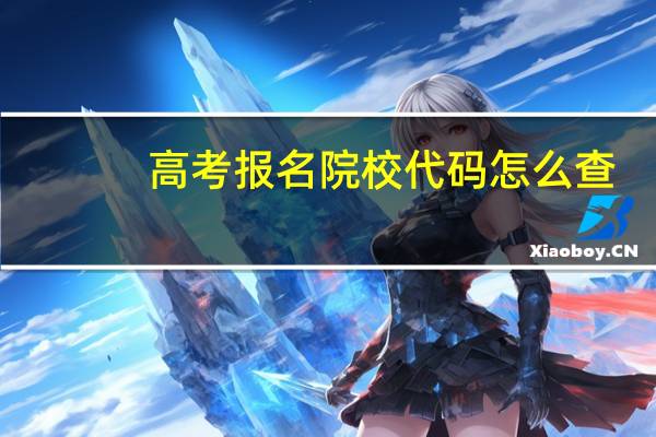 高考报名院校代码怎么查