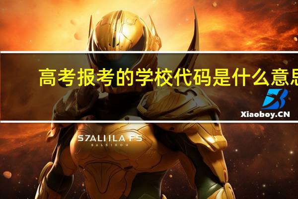 高考报考的学校代码是什么意思