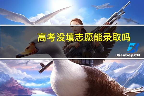 高考没填志愿能录取吗
